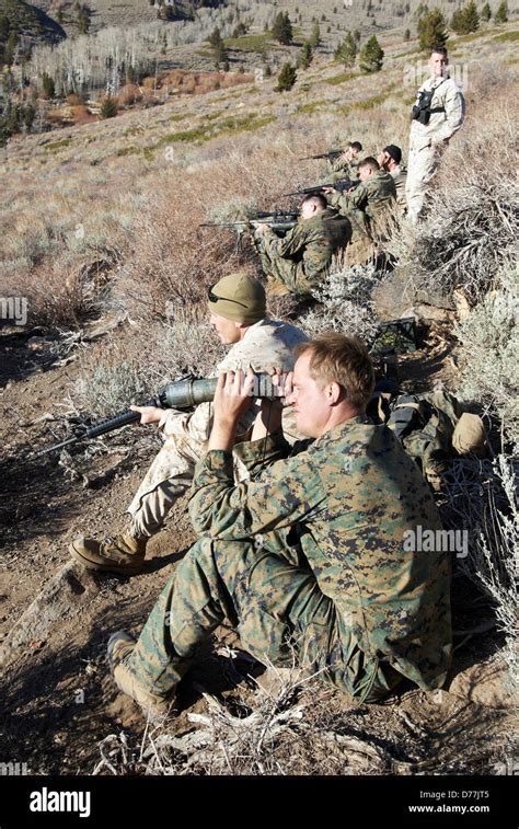 Us Marines During High Angle Mountain Sniper Training Marine Corps