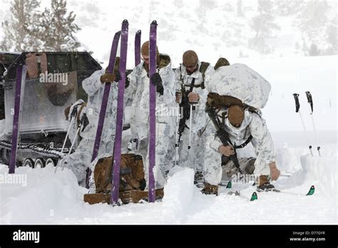 Usa California Bridgeport Mountain Warfare Training Center United