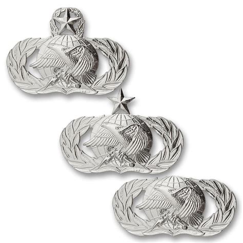 Usamm Air Force Supply And Fuels Badges Usamm Air Force Supply And Fuels Badges