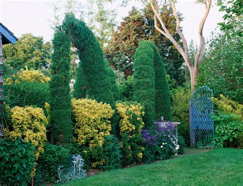 Use Evergreens To Make An Impact Use Evergreens To Make An Impact