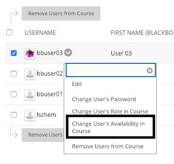 Users In Your Course Site Techweb Boston University Users In Your Course Site Techweb Boston University