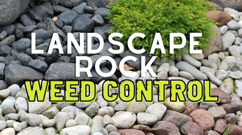 Using Pre Emergent Weed Spray In Landscape Rocks Youtube