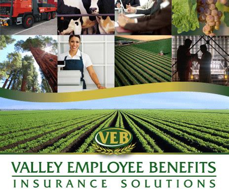 Valley Employee Secrets Revealed: Insider Tips for Success