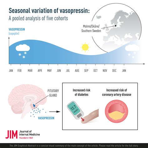 Vasopressin Effects in Men