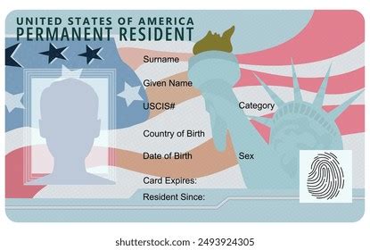 Vector De Stock United States Of America Permanent Resident Card