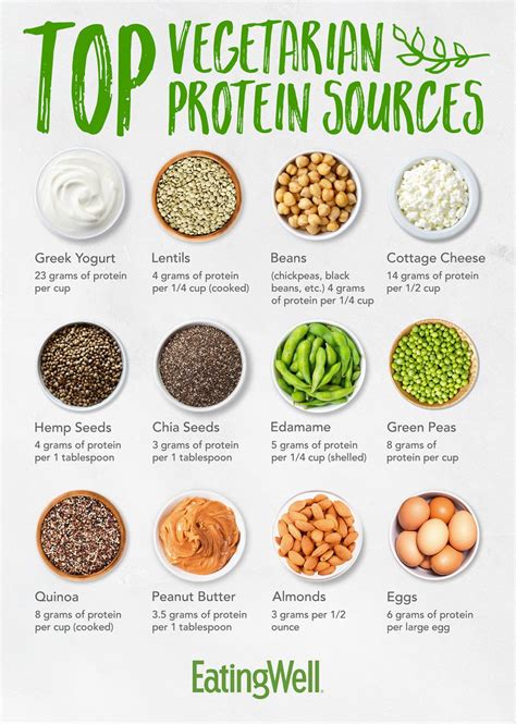 Vegetarian Protein Sources Admac Fitness