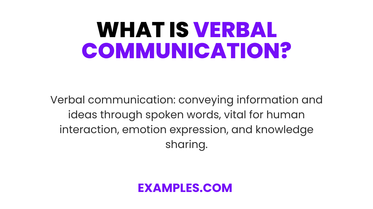 5 Ways Verbal Communication Works