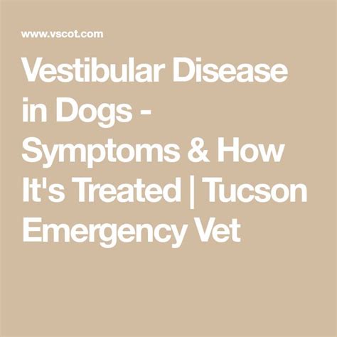 Vestibular Disease In Dogs Symptoms How It S Treated Tucson Emergency