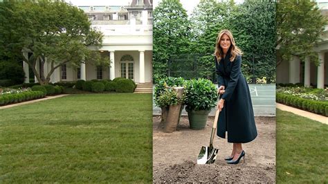 Video Melania Trump Defends Work As A Nude Model In New Memoir Cnn
