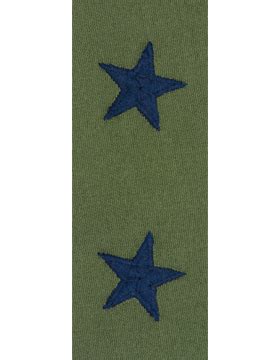 Vintage U S Air Force Officer Rank Subdued O D Green Clearance