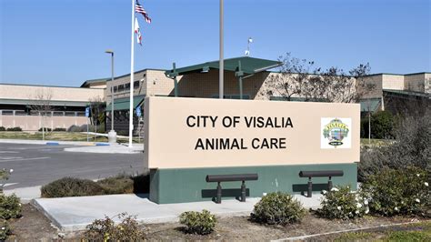 Visalia Animal Shelter Full Amid Holiday Surge In Lost Abandoned Pets Visalia Animal Shelter Full Amid Holiday Surge In Lost Abandoned Pets