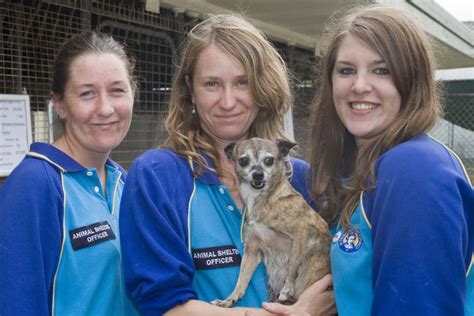 Volunteer At The Animal Shelter Sutherland Shire Council