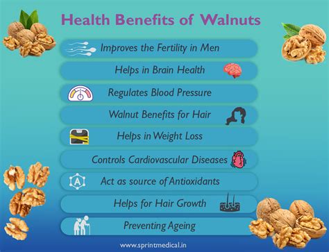 Walnut Overview Nutrition Uses And Health Benefits Sprint Medical