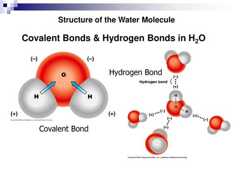 Water Covalent Bonds Each Water Molecule Consists Of Water Covalent Bonds Each Water Molecule Consists Of