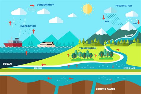 Water Cycle Definitions At Elisabeth Howell Blog