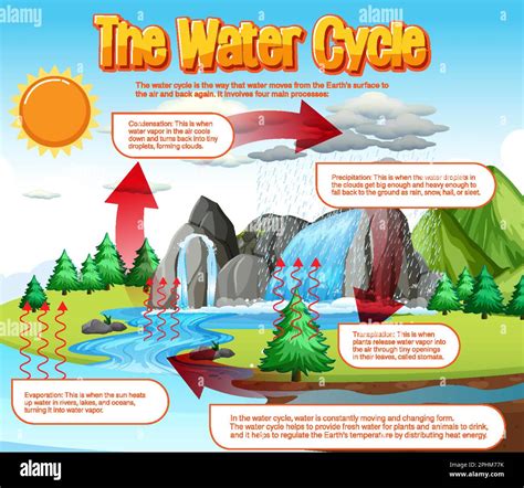 Water Cycle Diagram And Explanation