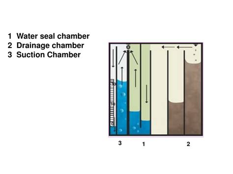 Water Seal Chamber Description At Gail Hendershot Blog