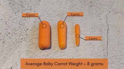 Water Weight Calculator How Much Does Water Weigh