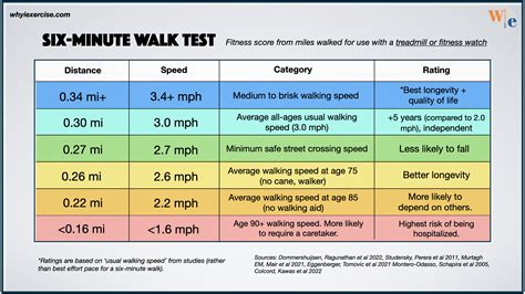 Ways To Measure Average Walking Speed