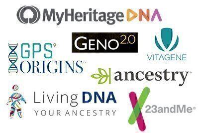 We Tried Out Eight Dna Ancestry Services Here Are Our Impressions Of Each National We Tried Out Eight Dna Ancestry Services Here Are Our Impressions Of Each National