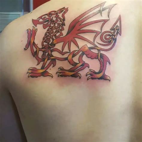 Welsh Dragon Tattoo Stencils Schwarze Und Rote Tribale Drachen Tattoo