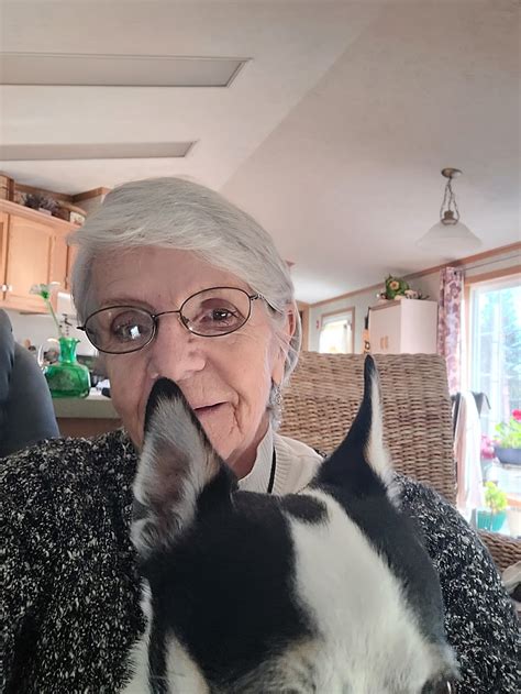 Wendy S Reviews Photos Phone Number Updated February 2026 American Restaurants In Racine United States Wheree