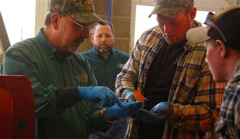 Western Maryland Bear Attack A Bad One Ncnewsonline Com