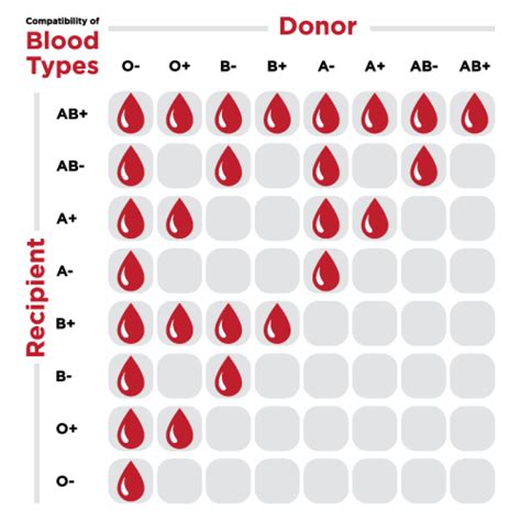 What A Universal Blood Type Means