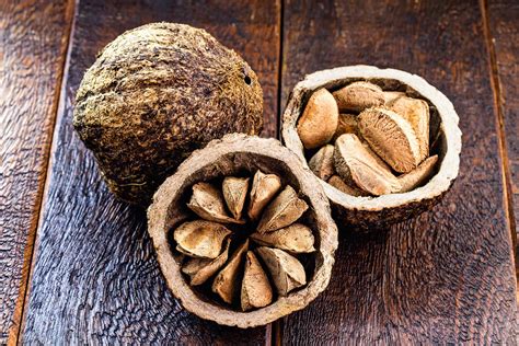 What Are Brazil Nuts Information And Tips On Growing Brazil Nuts