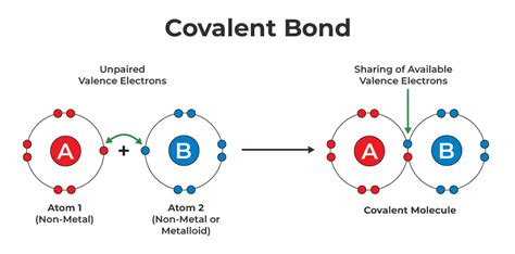 What Are Covalent Bonds