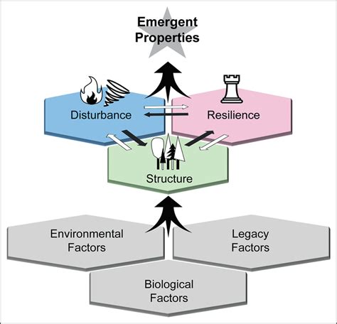 Unlocking the Mystery of Emergent Properties