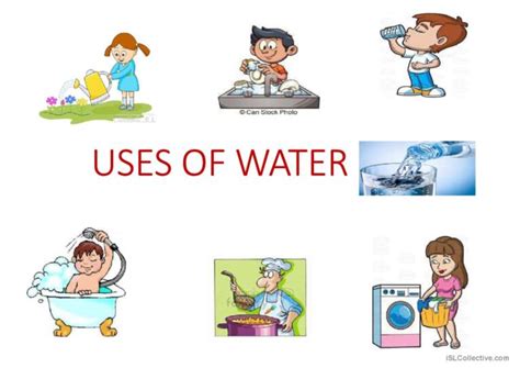What Are Our Daily Activities That Make Use Of Water At Kelvin Brown Blog