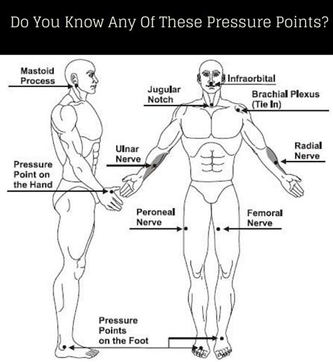 What Are Pressure Points In Self Defense What Are Pressure Points In Self Defense