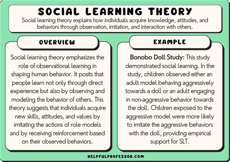 What Are Some Examples Of Social Learning At Laura Edward Blog