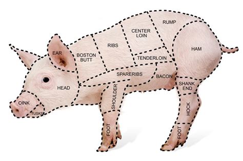 What Are The Best Tips For Pickling Pork With Pictures