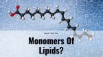 What Are The Monomers Of Lipids Science Trends
