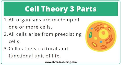 What Are The Three Main Points Of Modern Cell Theory Bios Pics