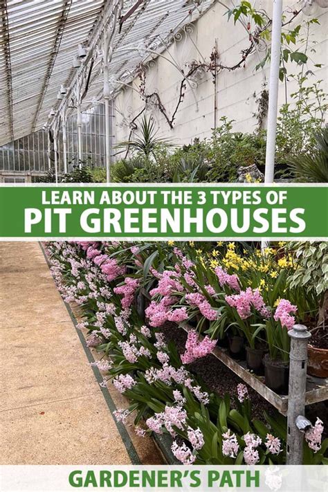 What Are Underground Pit Greenhouses Gardener S Path What Are Underground Pit Greenhouses Gardener S Path