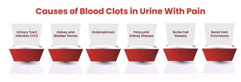 What Causes Small Blood Clots In Urine 11 Warning Signs