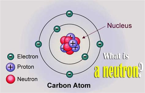 5 Facts Neutron Charge