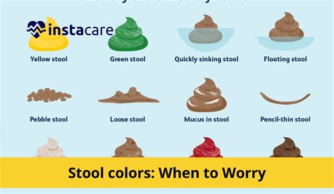 What Do Different Stool Colors Mean