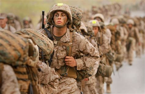 What Do Marines Do Everyday