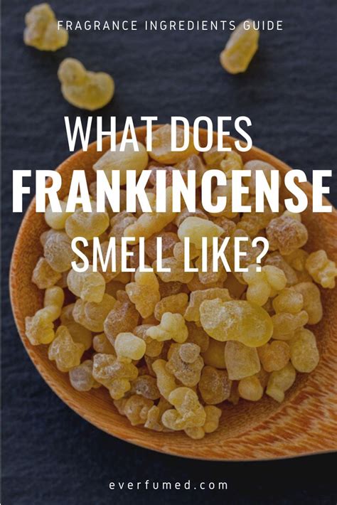 What Does Frankincense Oil Smell Like