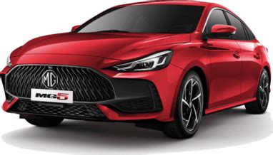 What Does Mg Stand For