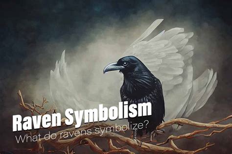 Raven Symbolism Meaning