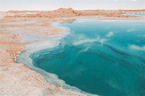 What Exactly Is An Oasis And How Do They Work