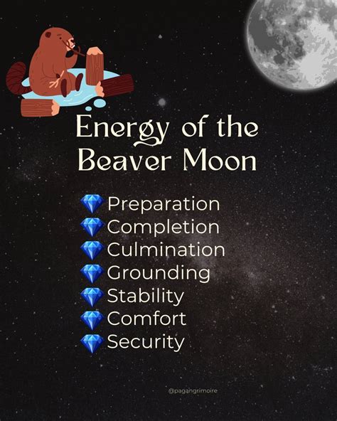 What Is A Beaver Moon The Fact Site What Is A Beaver Moon The Fact Site