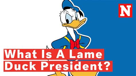 What Is A Lame Duck President Phrase Explained Amid Trump Biden 2020