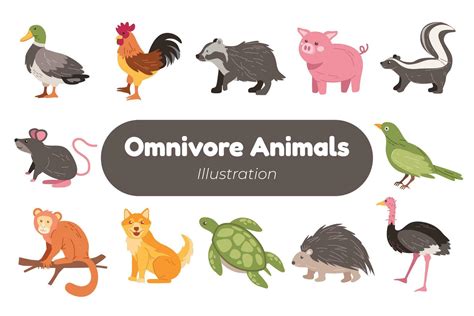 What is an Omnivore