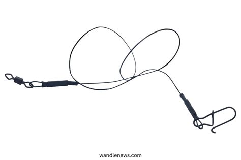 What Is A Wire Leader In Fishing At Milla Gadsdon Blog